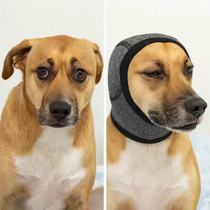Effective anxiety reduction in dogs with wearable sound protection shown in before-after image.