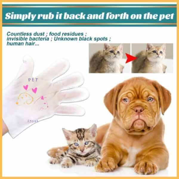 Pet cleaning gloves before and after on cat, with kitten and puppy, grooming product demo
