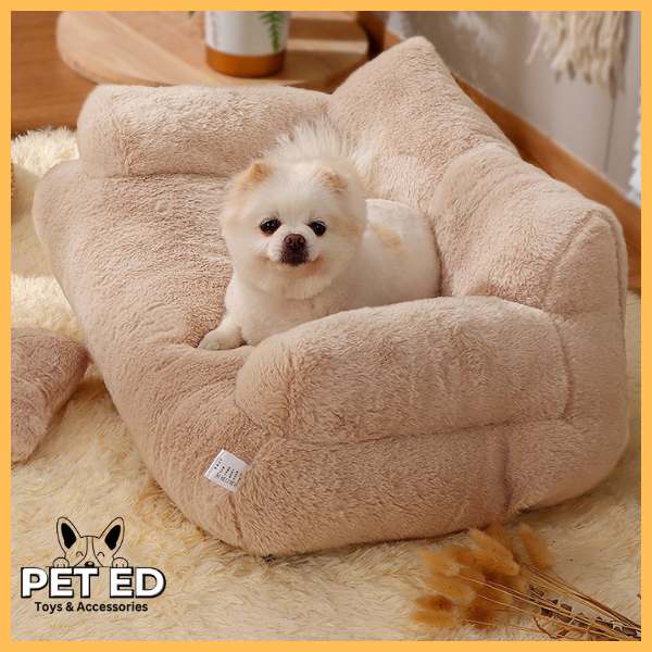 Small fluffy dog on beige plush pet bed luxury sofa in cozy room