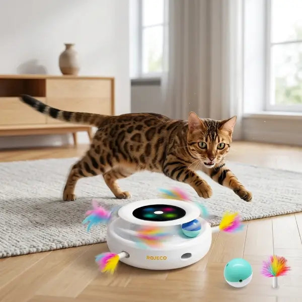 Cat fully engaged with automatic cat toy feather and ball set