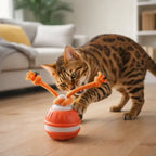 Natural home scene showing interactive cat toys encouraging movement and curiosity