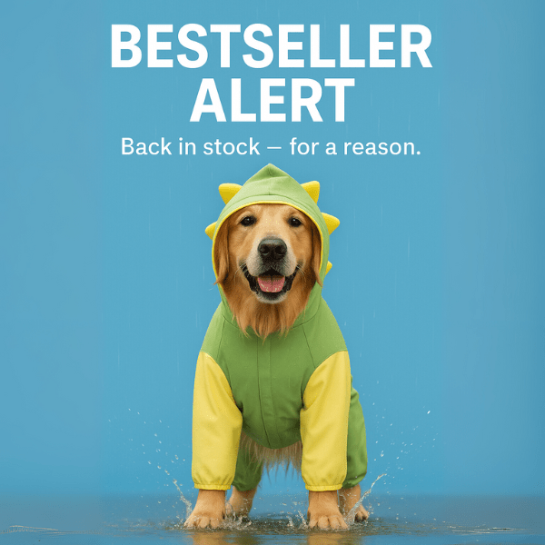 Front view of big dog in full coverage rain gear