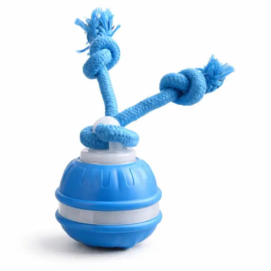 Blue interactive ball created as toys for anxious cats supporting calm independent play