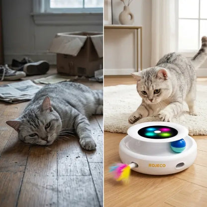 Before and after cat mental stimulation with motion activated cat toy