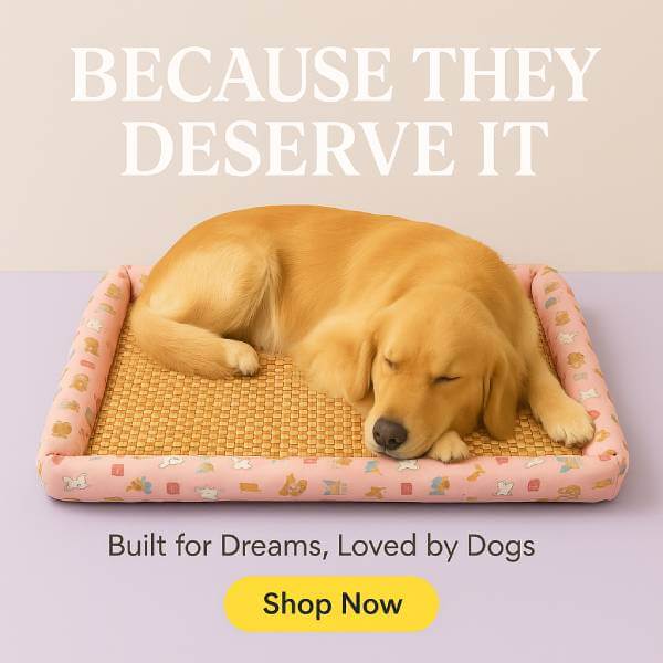 Summer Heat Relief? Try This Rattan Cooling Mat for Dogs|Cats - Pet Store ED