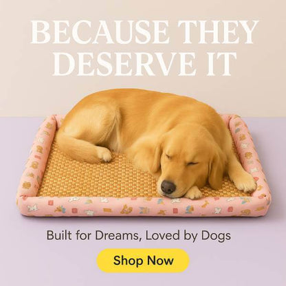 Summer Heat Relief? Try This Rattan Cooling Mat for Dogs|Cats - Pet Store ED