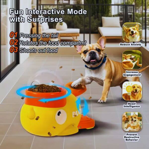Pet Store ED interactive dog food puzzle toy for active dogs.