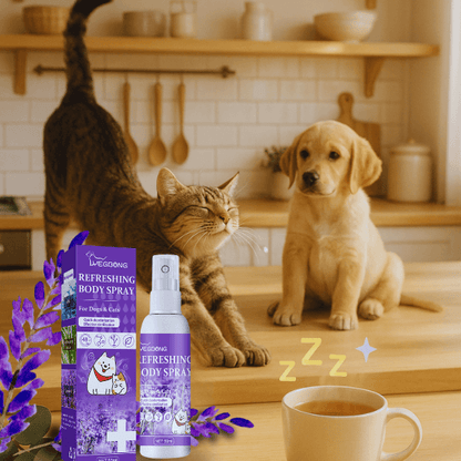 Cat stretching on kitchen counter as a curious puppy watches beside Pet Store ED calming spray