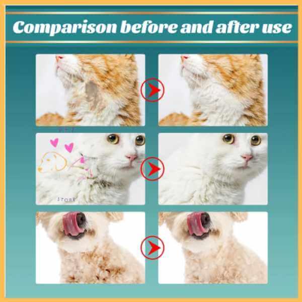 Before and after use comparison of cleaning gloves on cats and a dog