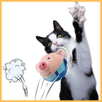 Black and white cat playing with bouncing pig plush toy, pet store background, playful action