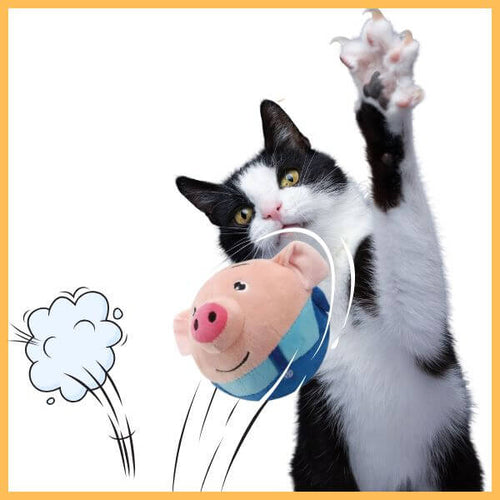 Black and white cat playing with bouncing pig plush toy, pet store background, playful action