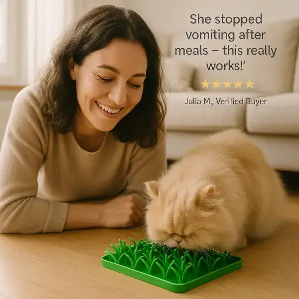 Comer rápido perjudica a las mascotas: cómo solucionarlo con suavidad | Gato