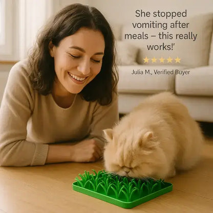 Comer rápido perjudica a las mascotas: cómo solucionarlo con suavidad | Gato