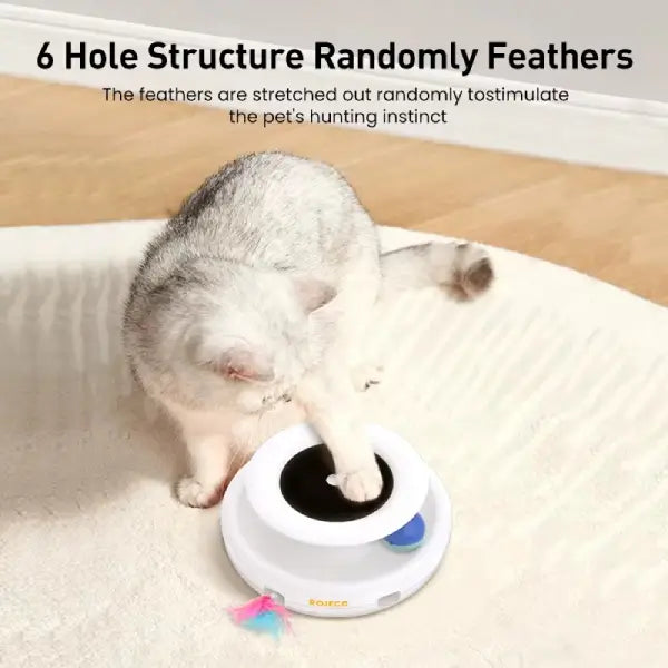 White cat pawing at motion activated cat toy with 6 hole design