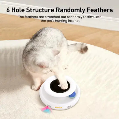 White cat pawing at motion activated cat toy with 6 hole design