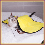 Cat lying under a yellow microfiber towel on a fluffy white surface
