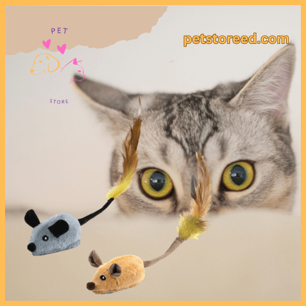 Gray cat watching feathered mouse cat toys with petstored.com and pet store logo