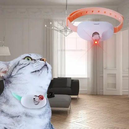 Cat engaged with rechargeable laser collar, designed for boredom relief indoors.