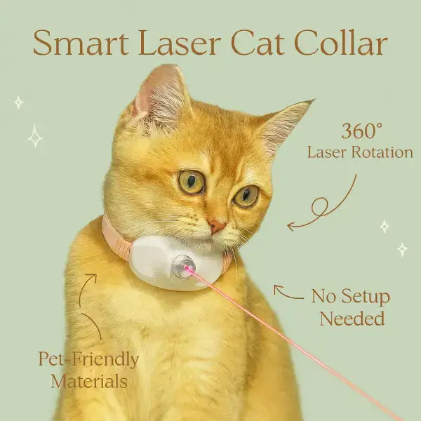 Pet-friendly automatic laser collar with rotating beam for active cat play.