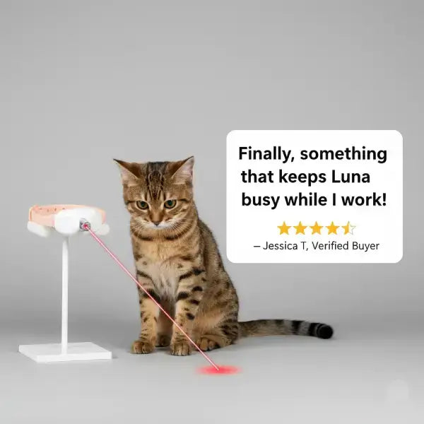 Real review image of indoor cat playing with hands-free smart laser collar.