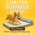 Dog Suffering from Heat & Pain? This Cooling Bed Changes Everything - Pet Store ED