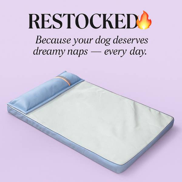 Dog Suffering from Heat & Pain? This Cooling Bed Changes Everything - Pet Store ED