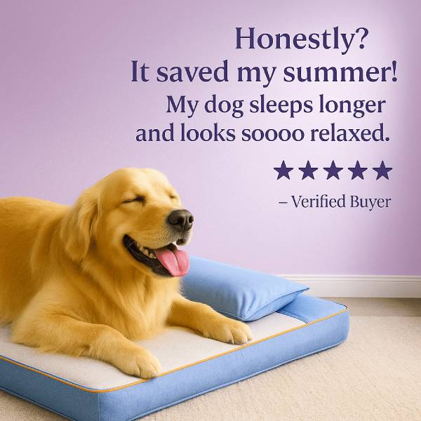 Dog sleeps longer and looks relaxed on ChillNest cooling bed.