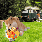 Dog playing with colorful plush ball toy outside near camper van at campsite