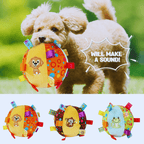Small dog with colorful plush ball toy for dogs, squeaky, embroidered animal faces, outdoor play