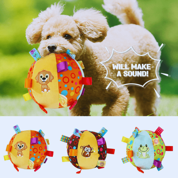 Small dog with colorful plush ball toy for dogs, squeaky, embroidered animal faces, outdoor play