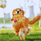 Golden retriever playing outside with a colorful soft dog chew toy ball.
