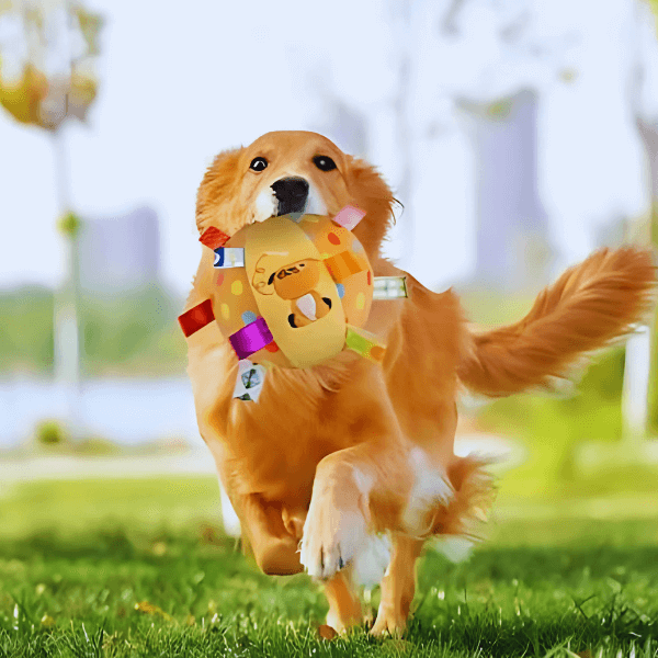Golden retriever playing outside with a colorful soft dog chew toy ball.