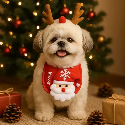 Cute dog in soft Christmas costume set – hat and bib by Pet Store ED