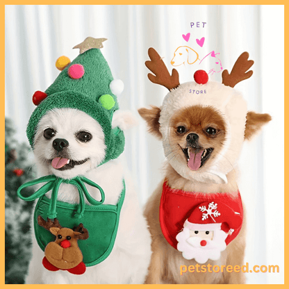Matching Christmas costumes for dogs, reindeer and tree theme by Pet Store ED.