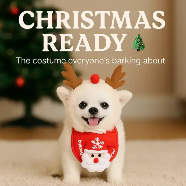 Adorable Christmas dog outfit with reindeer antlers and Santa bib, cozy festive theme.
