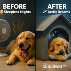 Dog Suffering in Summer? Try ClimaNest™ – Limited Stock! - Pet Store ED