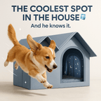Dog Suffering in Summer? Try ClimaNest™ – Limited Stock! - Pet Store ED