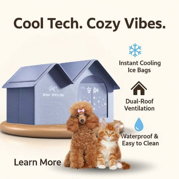 Pet house with ice packs and breathable roof for summer heat.