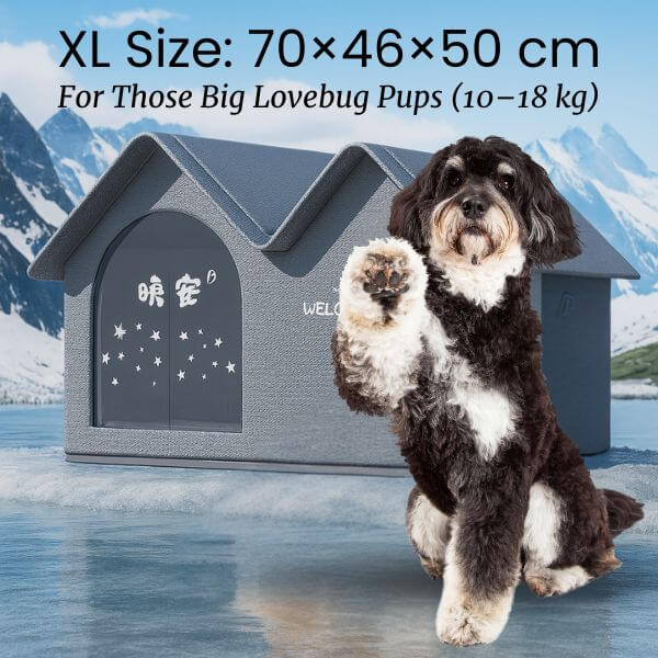 Summer heat solution for large dogs – XL ClimaNest.