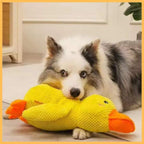 Kalmerend Honden Speeltje – The Best Calming Dog Toy"Stress" - Pet Store ED