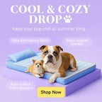 Dog Suffering from Heat & Pain? This Cooling Bed Changes Everything - Pet Store ED