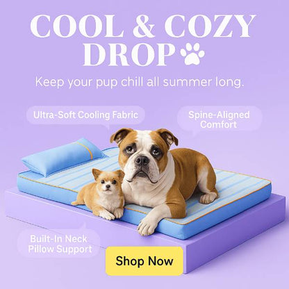 Dog Suffering from Heat & Pain? This Cooling Bed Changes Everything