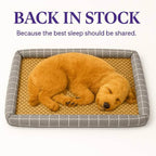 Summer Heat Relief? Try This Rattan Cooling Mat for Dogs|Cats - Pet Store ED