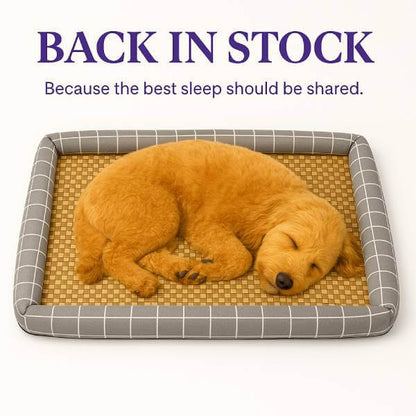 Summer Heat Relief? Try This Rattan Cooling Mat for Dogs|Cats - Pet Store ED