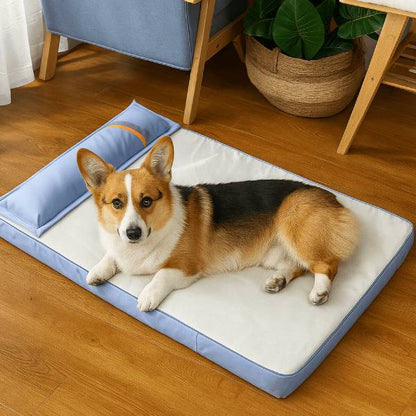 Dog Suffering from Heat & Pain? This Cooling Bed Changes Everything