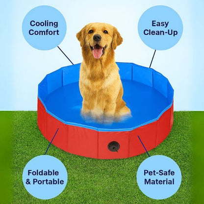 Summer dog pool with pet-safe materials and foldable design