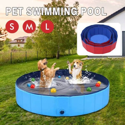 Large dog cooling pool with colorful balls