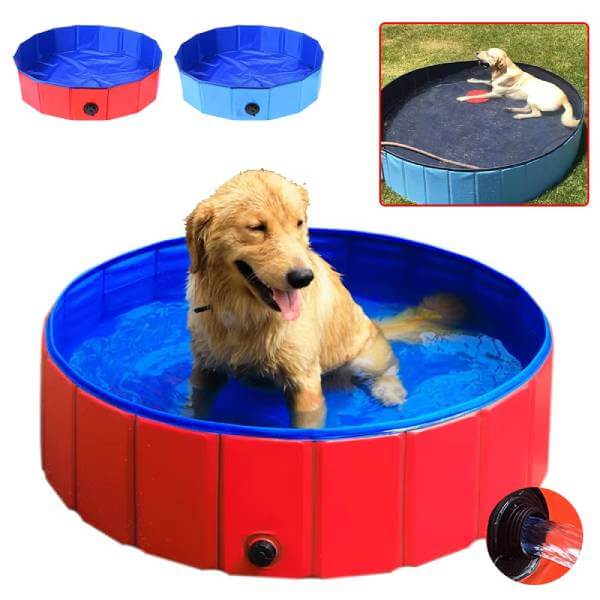 Summer dog pool in red and blue color options
