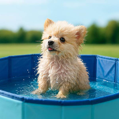 Oververhitte hond? CoolPaws™ zwembad is weer op voorraad – wees er snel bij!