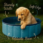 Dog Overheating? CoolPaws™ Pool Is Back in Stock – Act Fast! - Pet Store ED